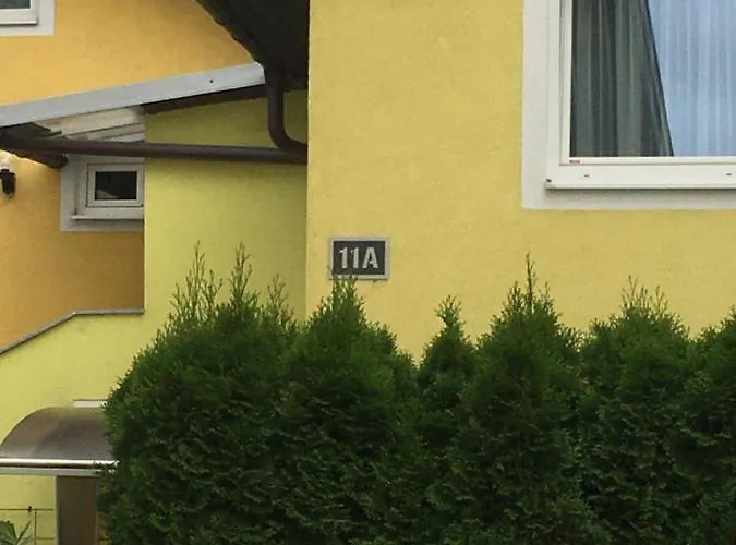 11a *
